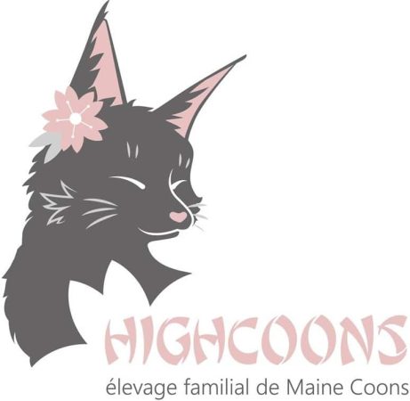 CHATTERIE DES HIGHCOONS - Image 1