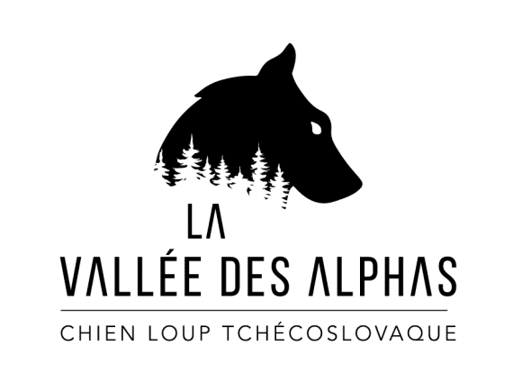 LA VALLEE DES ALPHAS - Image 1
