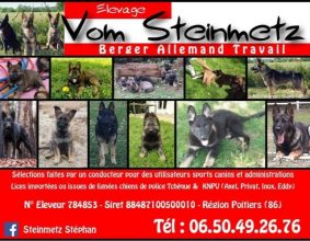 VOM STEINMETZ
