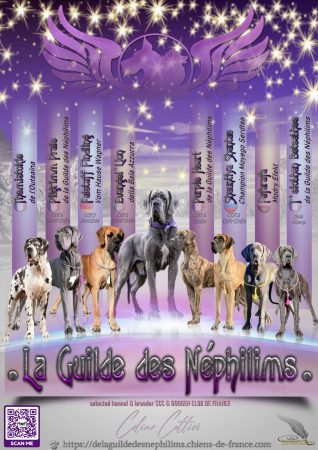 LA GUILDE DES NEPHILIMS - Image 1