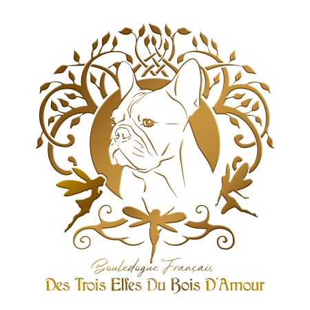 DES TROIS ELFES DU BOIS D&rsquo;AMOUR - Image 1