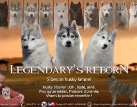 LEGENDARY&rsquo;S REBORN
