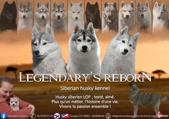 LEGENDARY&rsquo;S REBORN - Image 1