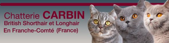 CARBIN - Image 2
