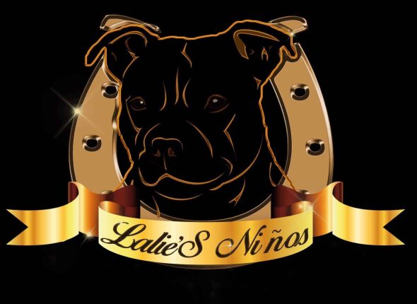 LALIE’S NINOS - Image 1