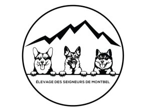 EI DES SEIGNEURS DE MONTBEL