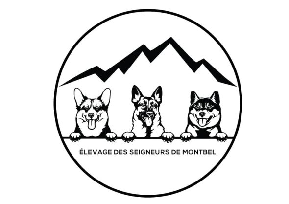 EI DES SEIGNEURS DE MONTBEL - Image 1