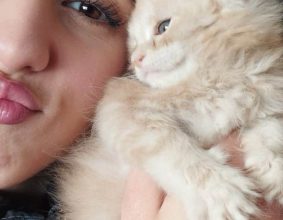 CHATTERIE DES DEESSES DU MAINE