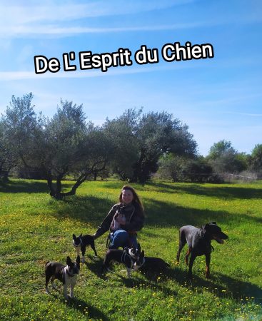 MOURIER STEPHANIE - Image 1