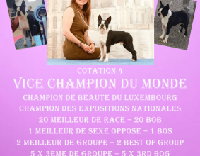 MOURIER STEPHANIE