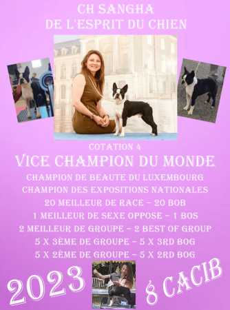 MOURIER STEPHANIE - Image 2