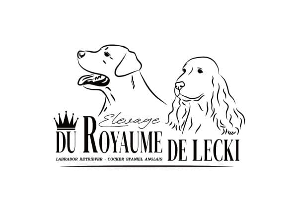 DU ROYAUME DE LECKI - Image 1