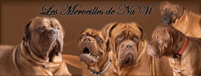 DES MERVEILLES DE NA&rsquo;VI