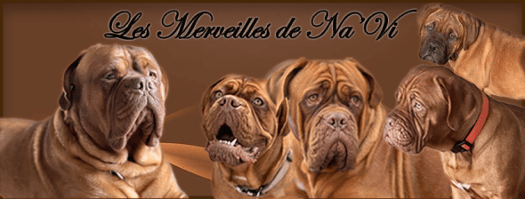 DES MERVEILLES DE NA’VI - Image 1