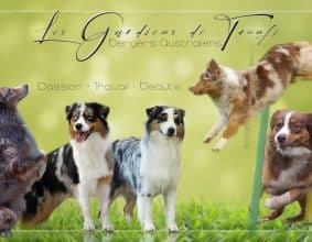 LES GARDIENS DE TOUNFI