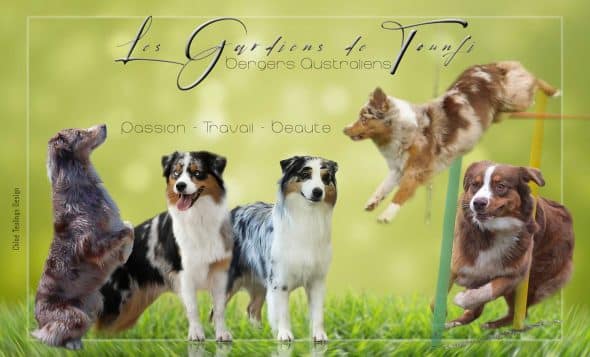 LES GARDIENS DE TOUNFI - Image 5