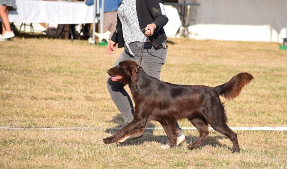 DELABAERE VIRGINIE - Image 3