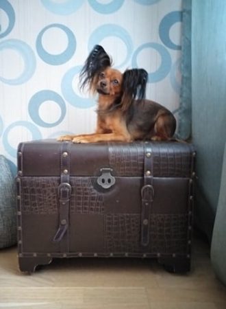 KALINKA STYLE - Image 8