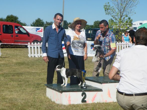 CHALMEL JULIE - Image 12