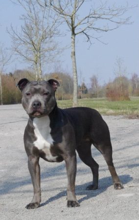 SAMOUCO KEVYN - Image 5