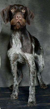 VIDOR NATACHA - Image 2