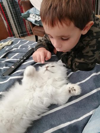 Mcb&rsquo;cats - Image 4