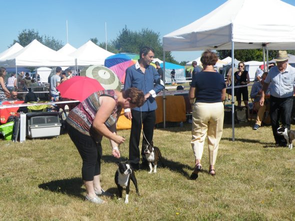 CHALMEL JULIE - Image 11
