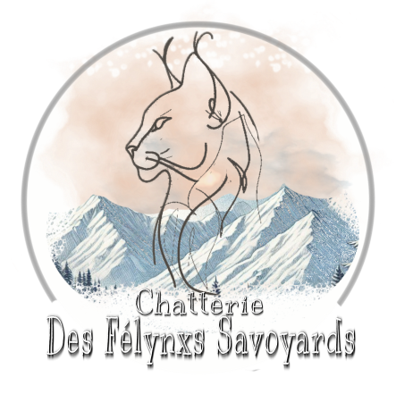 DES FELYNXS SAVOYARDS - Image 1