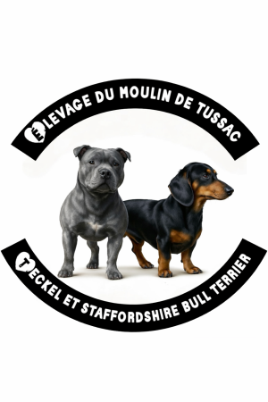 Du moulin de tussac - Image 1