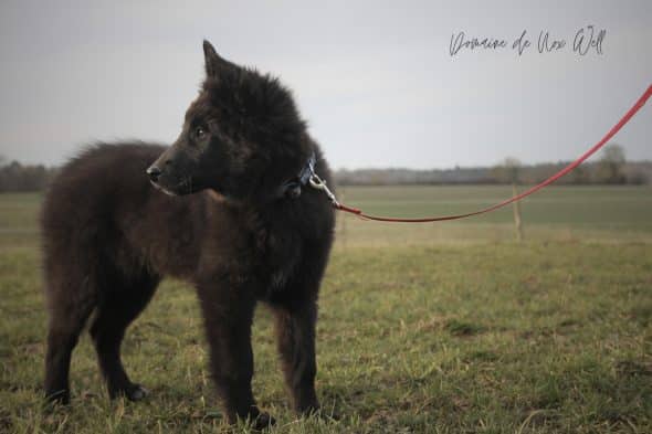 DOMAINE NOX WELL - Image 47