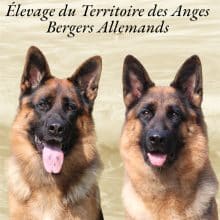 DU TERRITOIRE DES ANGES