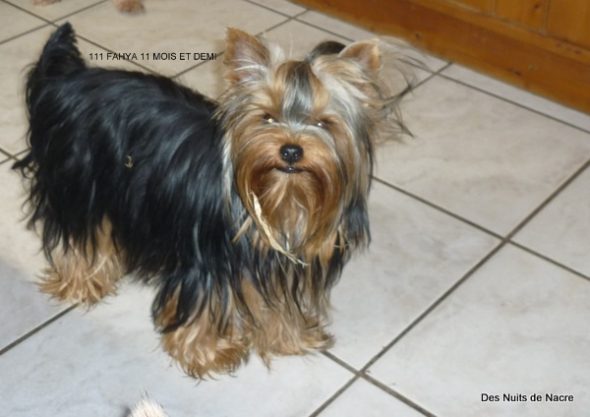 BRESSY MARIE-THERESE - Image 9