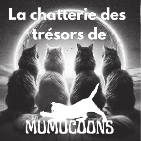 LES TRESORS DE MUMUCOONS - Image 1