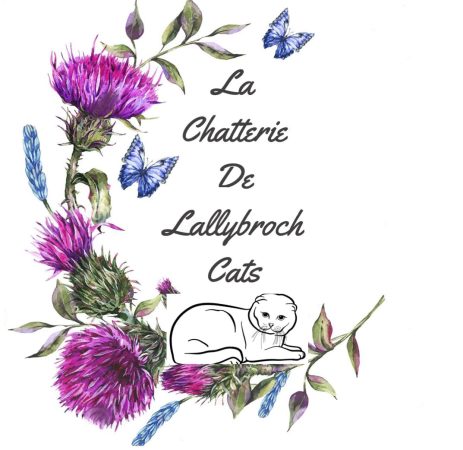 DE LALLYBROCH CATS - Image 6