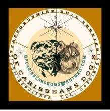 of caribbeans dog&rsquo;s