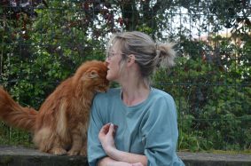 CHATTERIE DE L ILE BOISSEAU