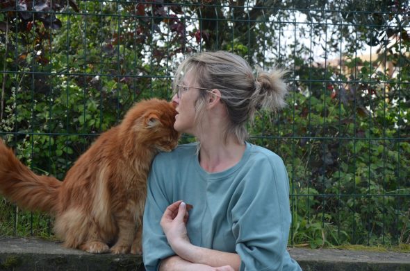 CHATTERIE DE L ILE BOISSEAU - Image 4