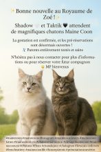 ROYAUME DE ZOE