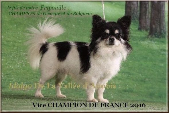 CHISSAC JACQUELINE - Image 6