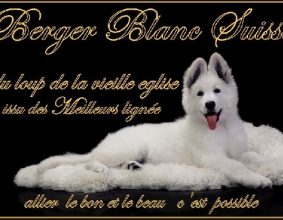 CHARPENTIER VERONIQUE