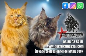 Du Guerrier Massaï