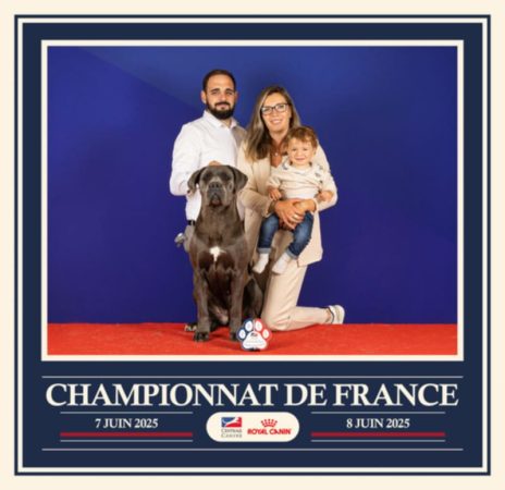 Des Diamants Du Colisée jcm - Image 1