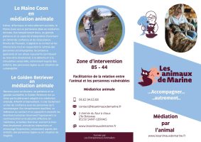 CHATTERIE DE L ILE BOISSEAU
