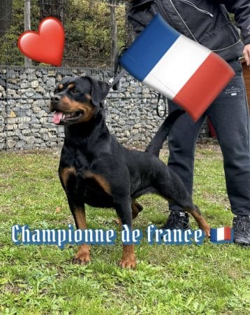des Gardiens d&rsquo;Araé Flaviaé - Image 1