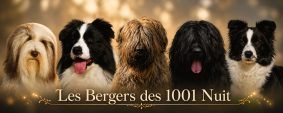 GAEC LES BERGERS DES 1001 NUITS