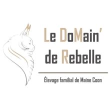Du DoMain’ de Rebelle