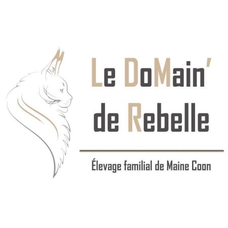 Du DoMain’ de Rebelle - Image 1