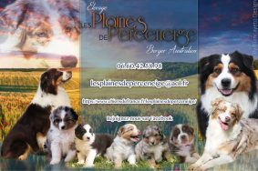 Les PLAINES de PERCENEIGE