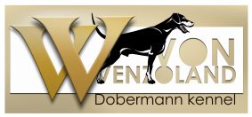 VENZOLAND