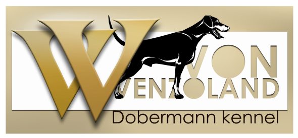 VENZOLAND - Image 1